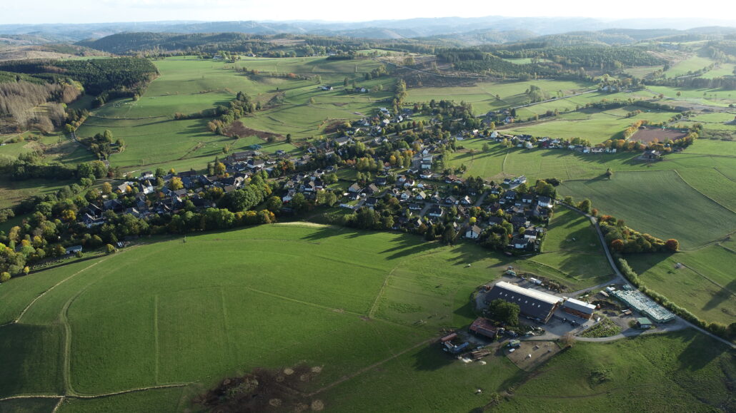 Weidenhausen am Waldrand aus der Luft