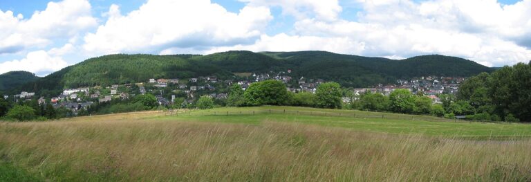 Blick auf Bad Laasphe