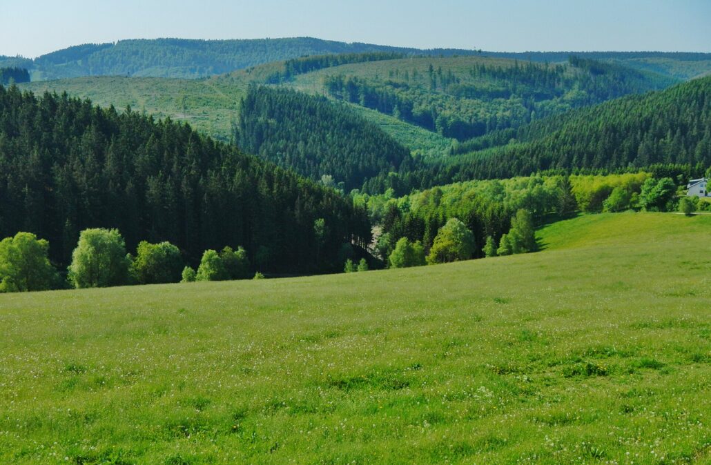 Grüne Wiesen und bewaldete Hänge im Rothaargebirge