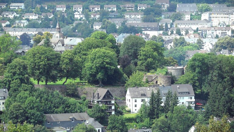 Blick auf Siegen mit dem Oberen Schloss