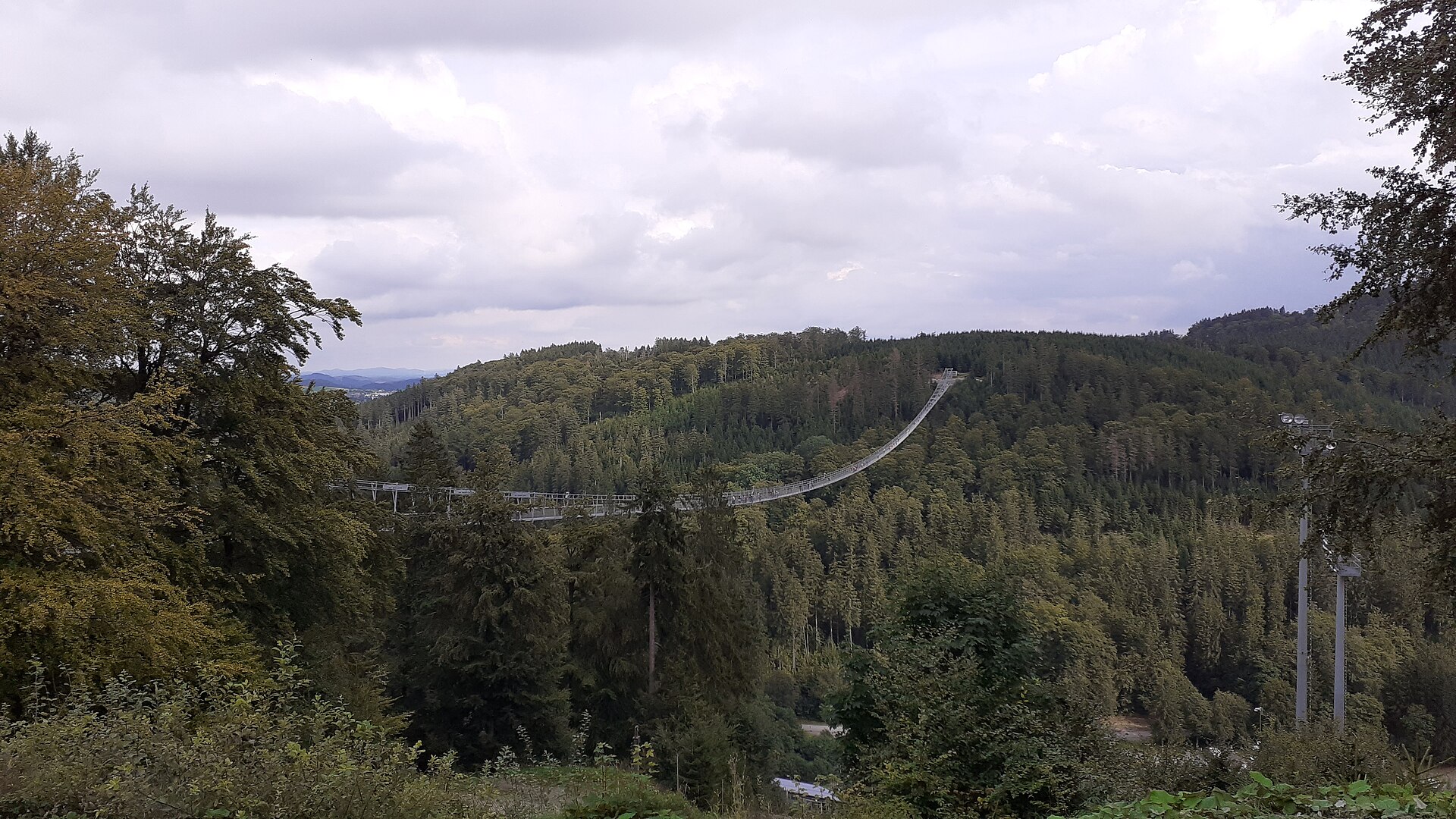 Der Skywalk Willingen spannt sich als Hängebrücke über das bewaldete Tal