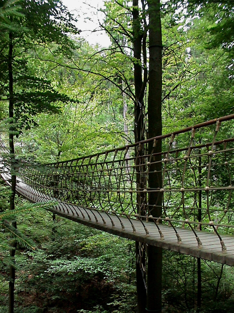 Hängebrücke am Rothaarsteig im Buchenwald bei Kühhude