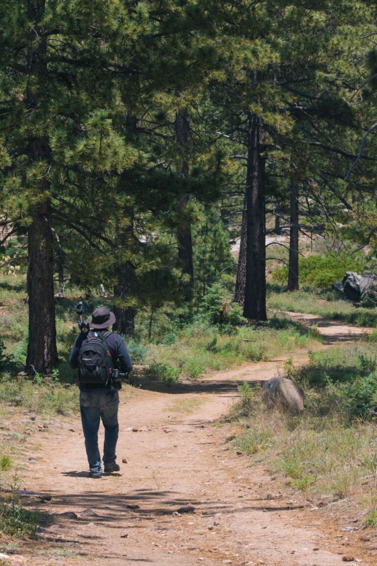 Wanderer mit Rucksack auf einem Weg zwischen Bäumen